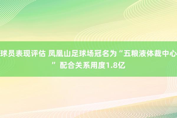 球员表现评估 凤凰山足球场冠名为“五粮液体裁中心” 配合关系用度1.8亿