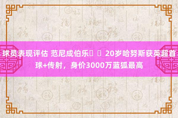 球员表现评估 范尼成伯乐⁉️20岁哈努斯获英超首球+传射，身价3000万蓝狐最高