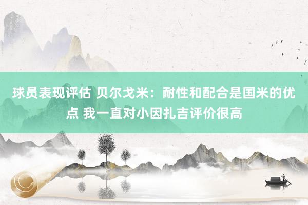 球员表现评估 贝尔戈米：耐性和配合是国米的优点 我一直对小因扎吉评价很高