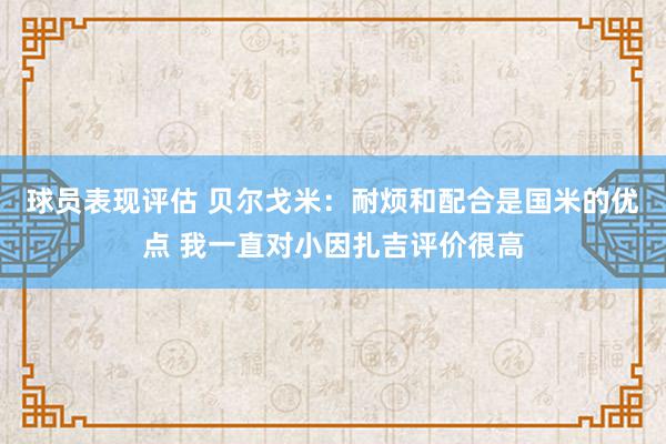 球员表现评估 贝尔戈米：耐烦和配合是国米的优点 我一直对小因扎吉评价很高