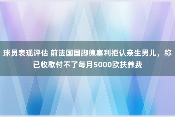 球员表现评估 前法国国脚德塞利拒认亲生男儿，称已收歇付不了每月5000欧扶养费