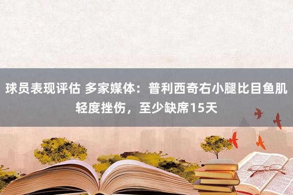 球员表现评估 多家媒体：普利西奇右小腿比目鱼肌轻度挫伤，至少缺席15天