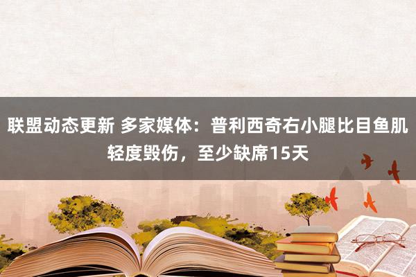 联盟动态更新 多家媒体：普利西奇右小腿比目鱼肌轻度毁伤，至少缺席15天