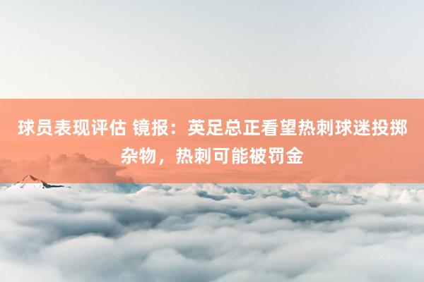 球员表现评估 镜报：英足总正看望热刺球迷投掷杂物，热刺可能被罚金