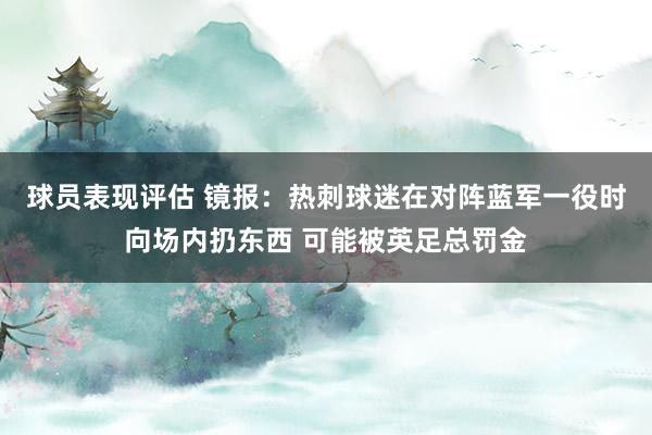 球员表现评估 镜报：热刺球迷在对阵蓝军一役时向场内扔东西 可能被英足总罚金