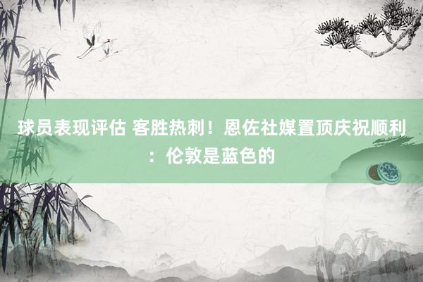 球员表现评估 客胜热刺！恩佐社媒置顶庆祝顺利：伦敦是蓝色的