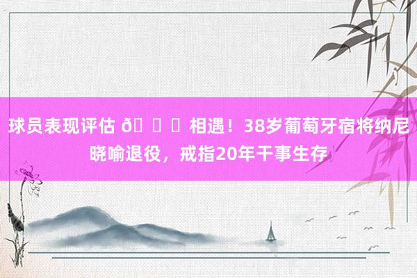 球员表现评估 👋相遇！38岁葡萄牙宿将纳尼晓喻退役，戒指20年干事生存