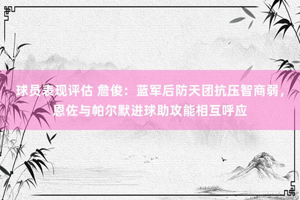 球员表现评估 詹俊：蓝军后防天团抗压智商弱，恩佐与帕尔默进球助攻能相互呼应