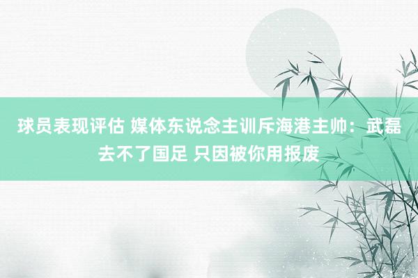 球员表现评估 媒体东说念主训斥海港主帅：武磊去不了国足 只因被你用报废